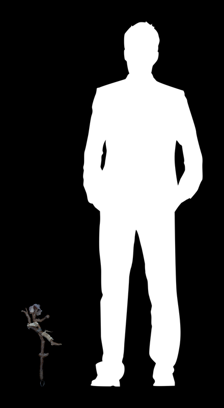 MODULAE MTM.2008.0010.0051