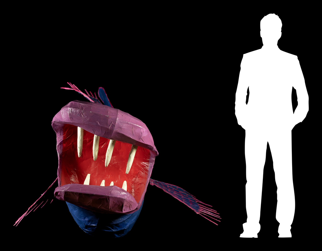 MODULAE MTM.2017.0163.0450