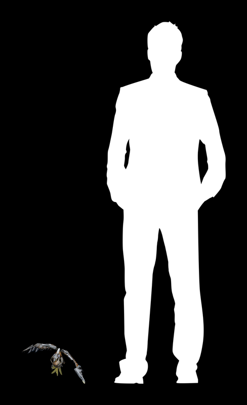 MODULAE MTM.2018.0156.0302